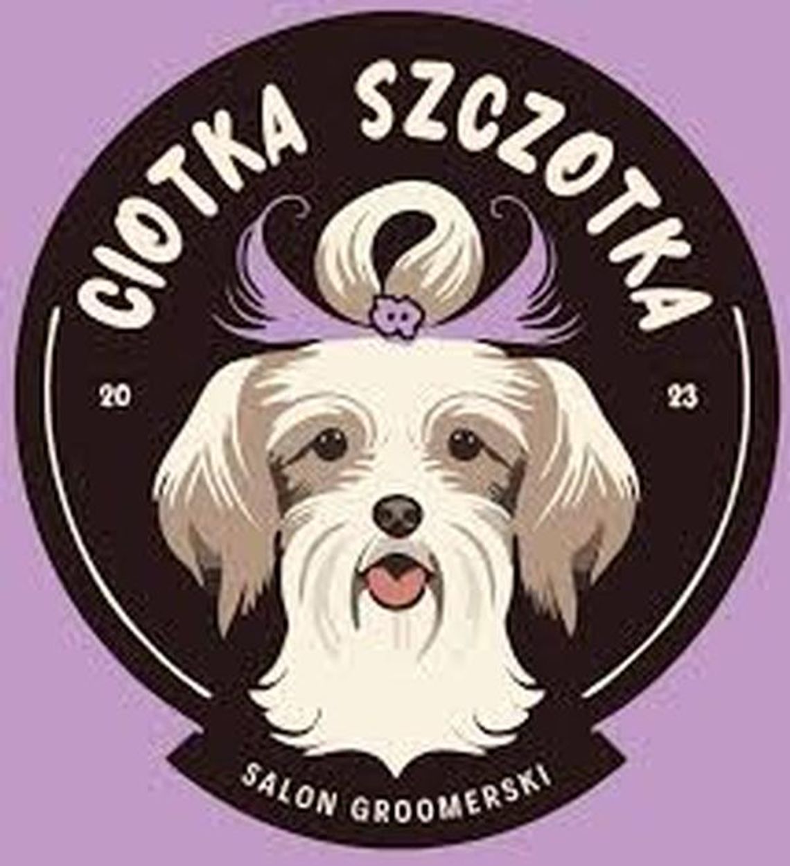 Ciotka Szczotka Ciotka Szczotka