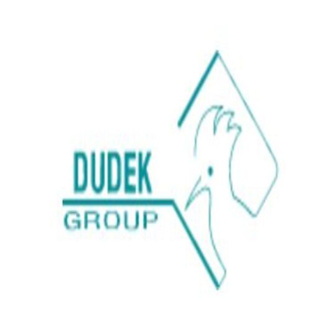 Dudek group