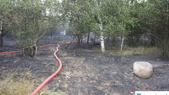 Wielki pożar w Luszynie [zdjęcia]