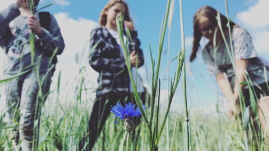 Holendry 2018, niezapomniana wycieczka uczniów z SP Nr 3