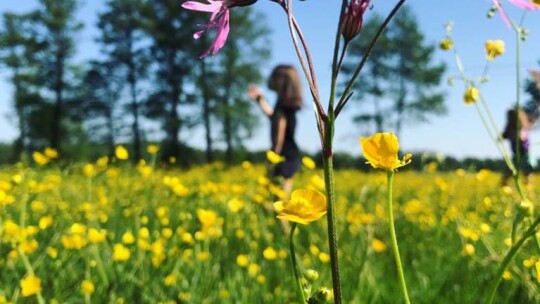 Holendry 2018, niezapomniana wycieczka uczniów z SP Nr 3