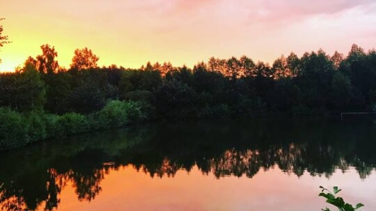 Holendry 2018, niezapomniana wycieczka uczniów z SP Nr 3