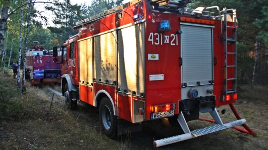 Pożar lasu w Annopolu