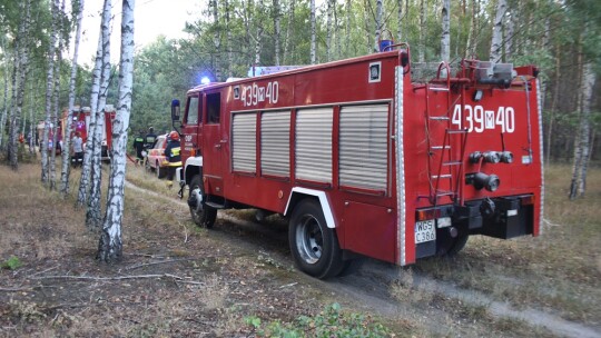 Pożar lasu w Annopolu