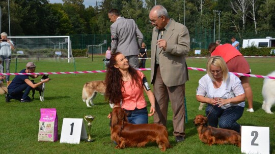 43. Mazowiecka Wystawa Psów Rasowych w Gostyninie [FOTORELACJA]