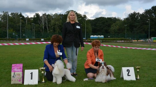 43. Mazowiecka Wystawa Psów Rasowych w Gostyninie [FOTORELACJA]