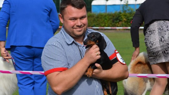 43. Mazowiecka Wystawa Psów Rasowych w Gostyninie [FOTORELACJA]