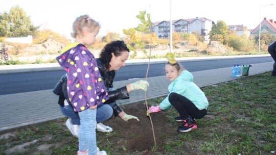 100 drzew dla niepodległej Polski