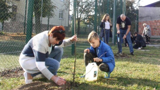 100 drzew dla niepodległej Polski