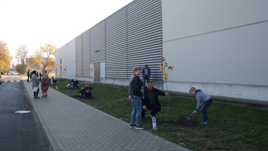 100 drzew dla niepodległej Polski