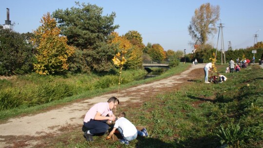 100 drzew dla niepodległej Polski