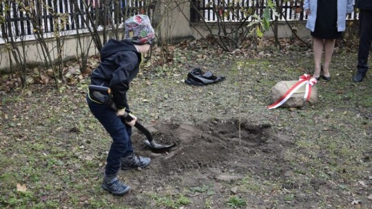 W Gostyninie, tak jak w całym kraju obchodzone są uroczystości 100. rocznicy Odzyskania Niepodległości przez Polskę