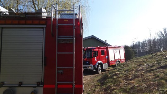 Pożary traw na Zamkowej i Legionów Polskich