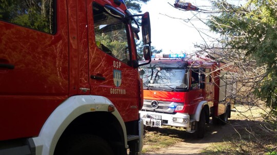 Pożary traw na Zamkowej i Legionów Polskich