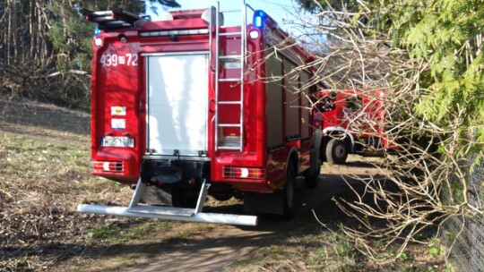 Pożary traw na Zamkowej i Legionów Polskich