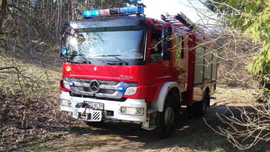 Pożary traw na Zamkowej i Legionów Polskich