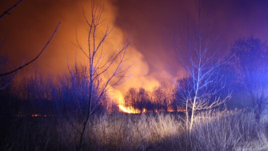 Na Zatorzu spaliło się 8 hektarów traw i nieużytków