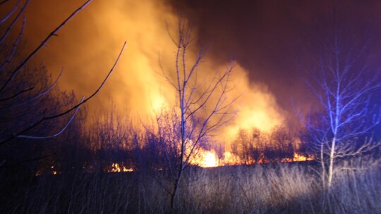 Na Zatorzu spaliło się 8 hektarów traw i nieużytków
