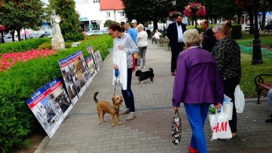 Za nami ósma edycja „Narodowego Czytania”