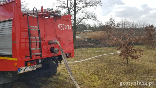 Pożar traw w Zuzinowie