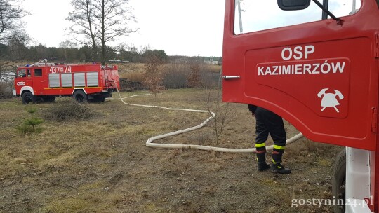 Pożar traw w Zuzinowie