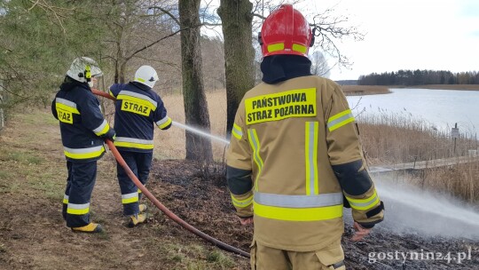Pożar traw w Zuzinowie