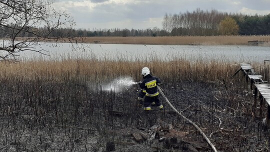 Pożar traw w Zuzinowie