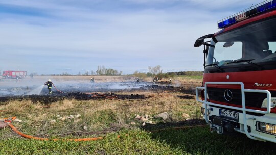 Pożary traw w okolicach Pacyny