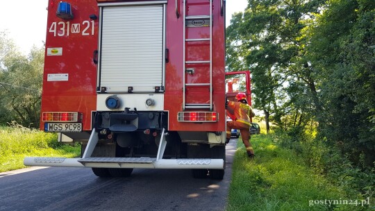 Górki Drugie: Renault na drzewie