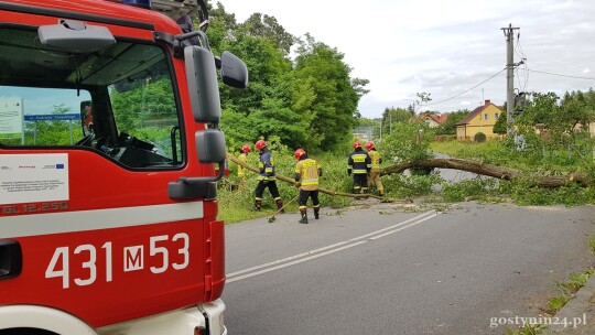 Powalone drzewo na Czapskiego