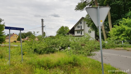 Powalone drzewo na Czapskiego