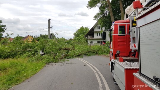 Powalone drzewo na Czapskiego