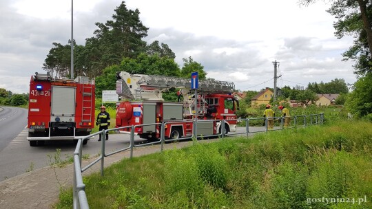 Powalone drzewo na Czapskiego