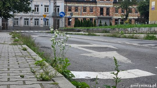 Zarośnięte drogi powiatowe w Gostyninie