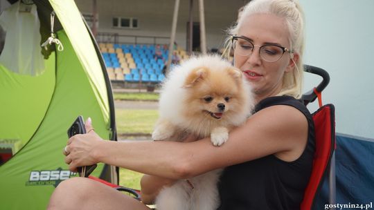 Labrador z Torunia zwycięzcą wystawy psów rasowych w Gostyninie