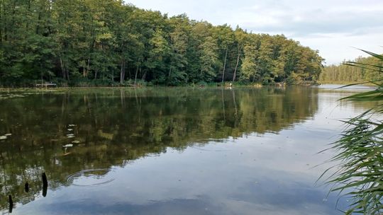 Kłusownicy nad jeziorem Czarnym